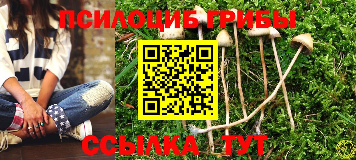 Галлюциногенные грибы мухоморы Урай